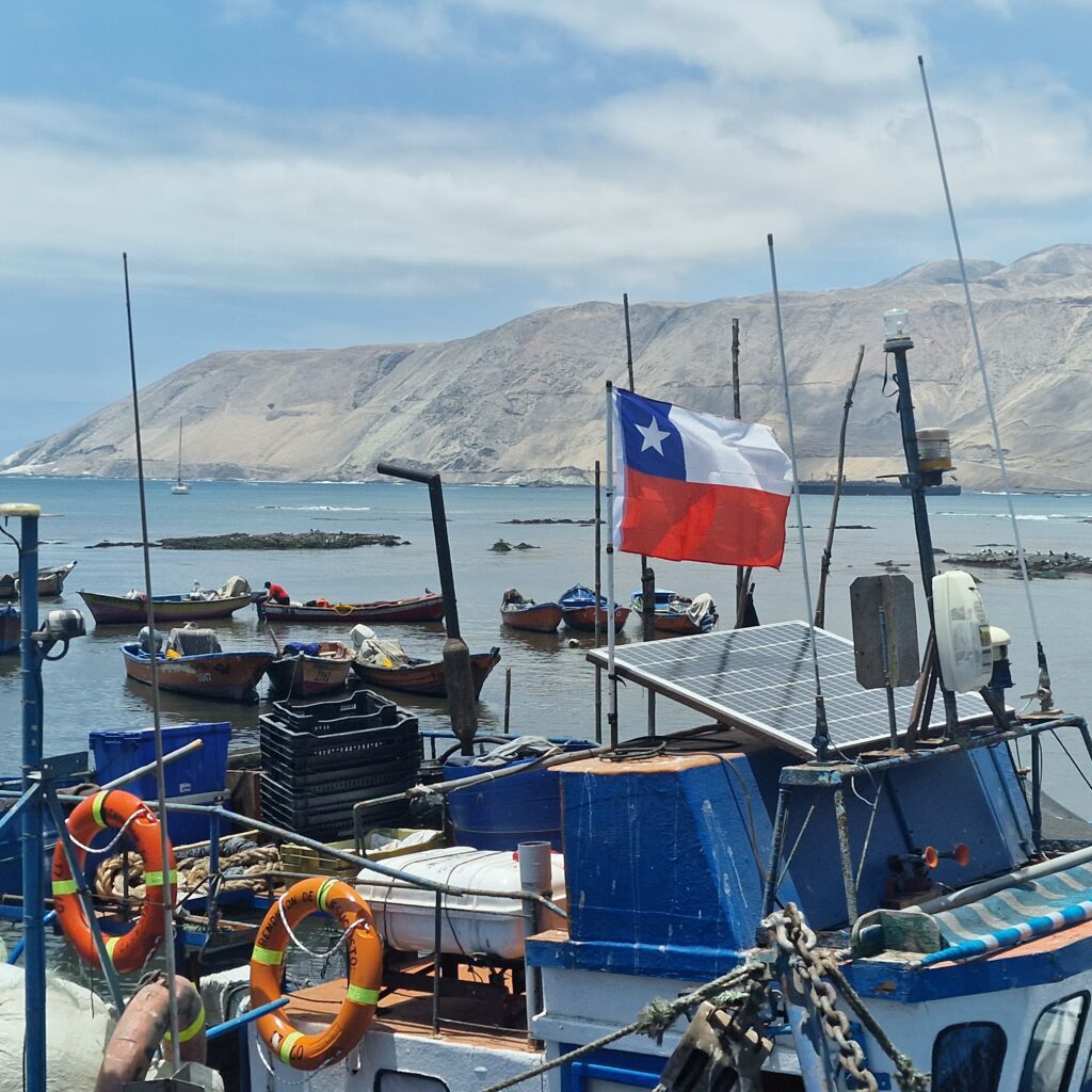 Map of northern Chile showing key wild yellowtail fishing areas for export