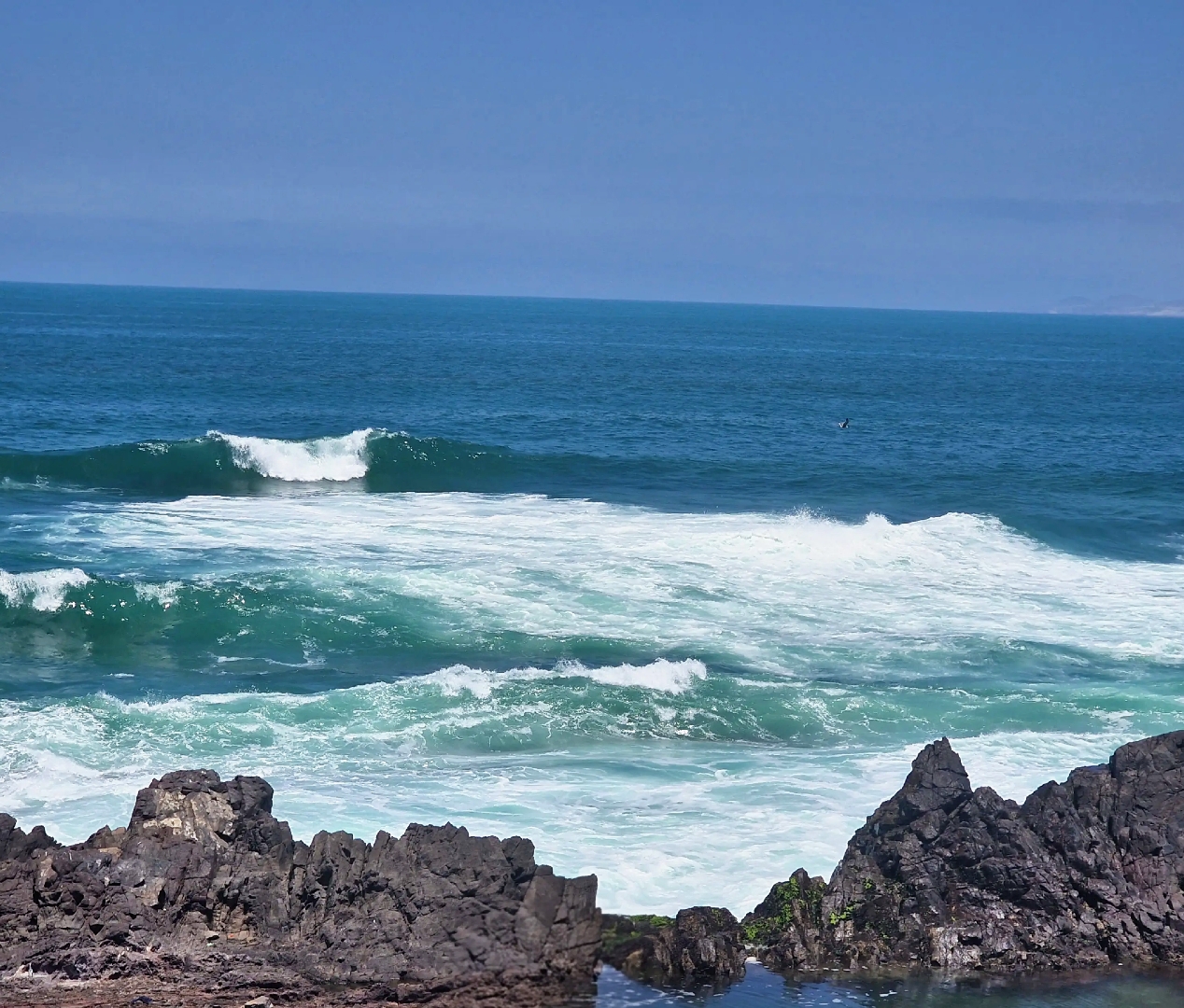 Wild Chilean sea where Wild South Seafoods sources premium yellowtail for export