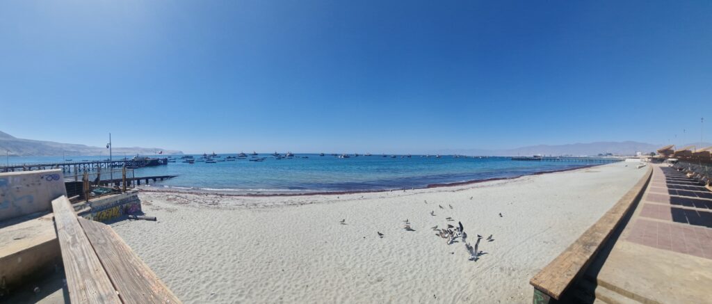 Responsible fishing in Chile, to give added value to the product.