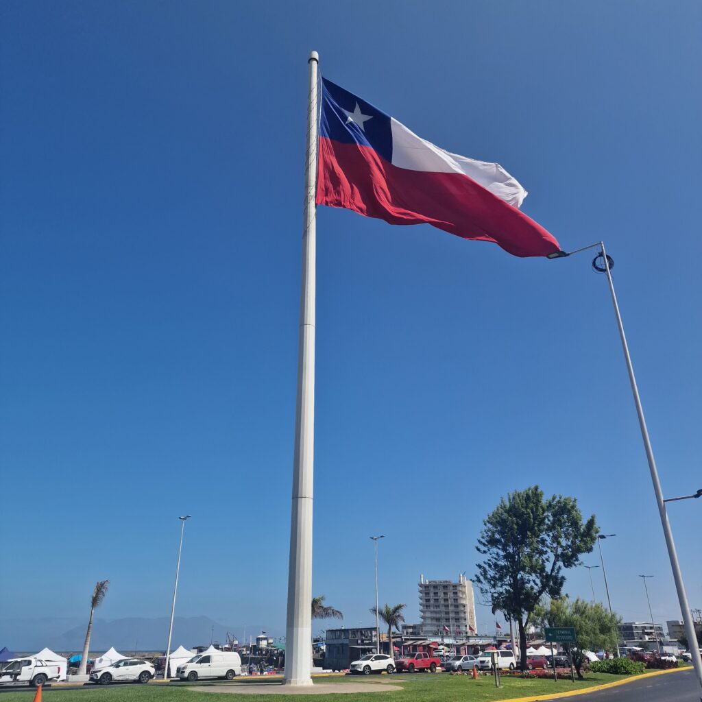 WILD SOUTH SEAFOODS CHILE